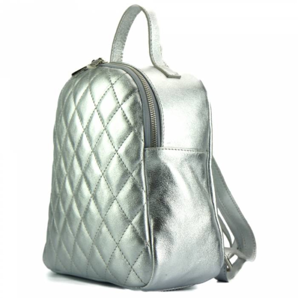 Silberner Rucksack Backpack